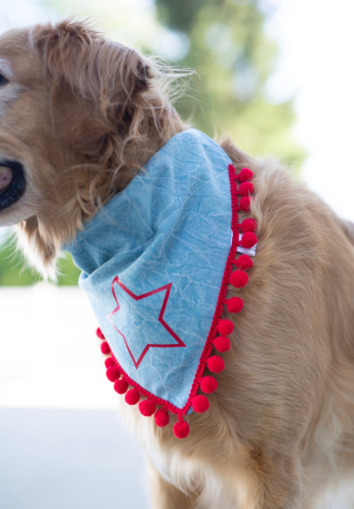 Fourth of July Dog Bandana - Rockstar