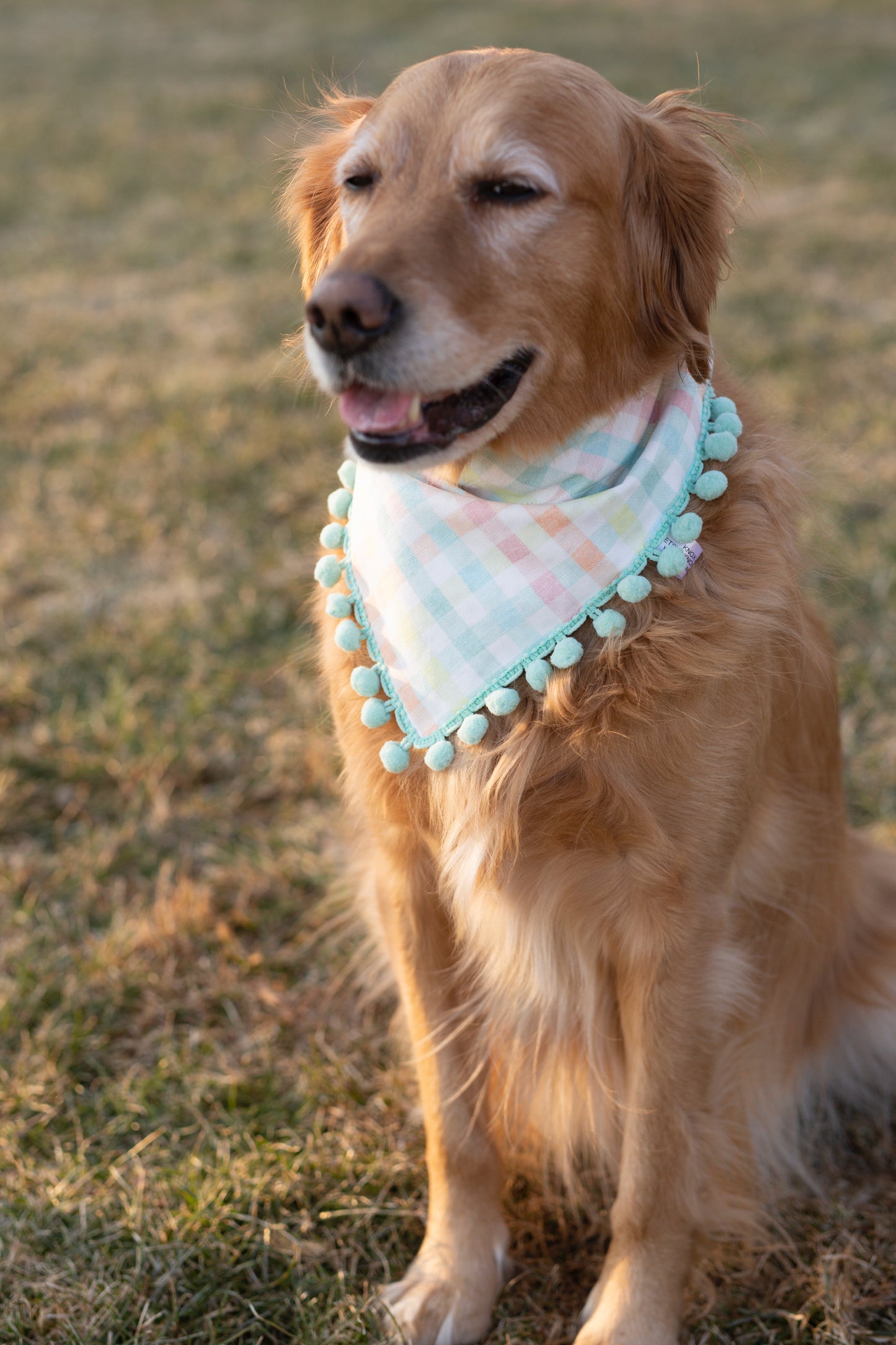 Payton (Easter ) Reversible