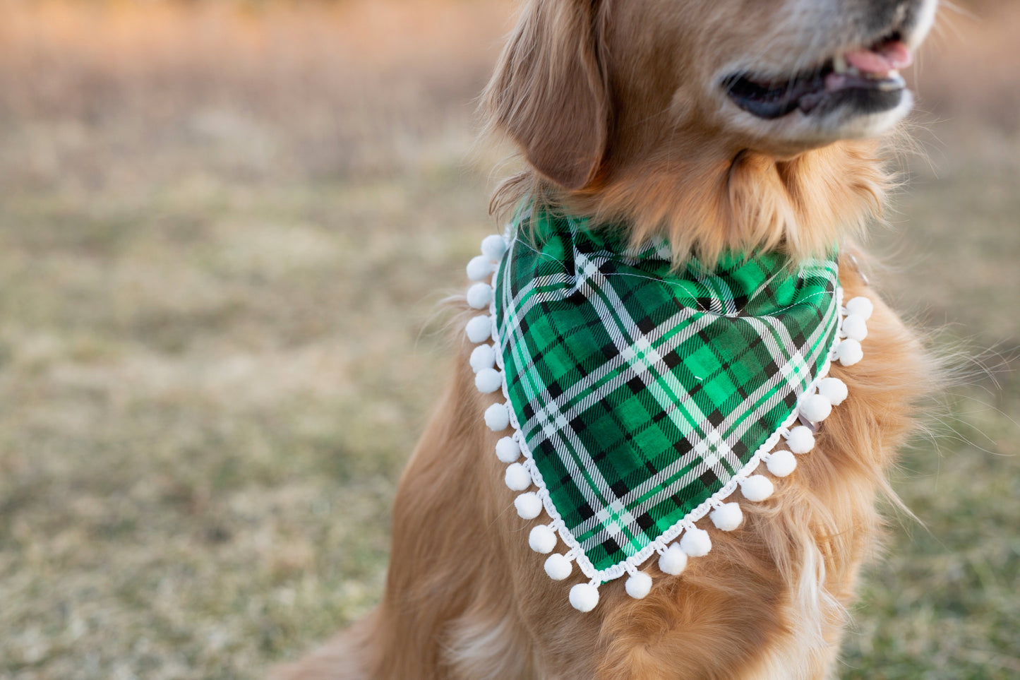 St. Patty's Day Dog Bandana