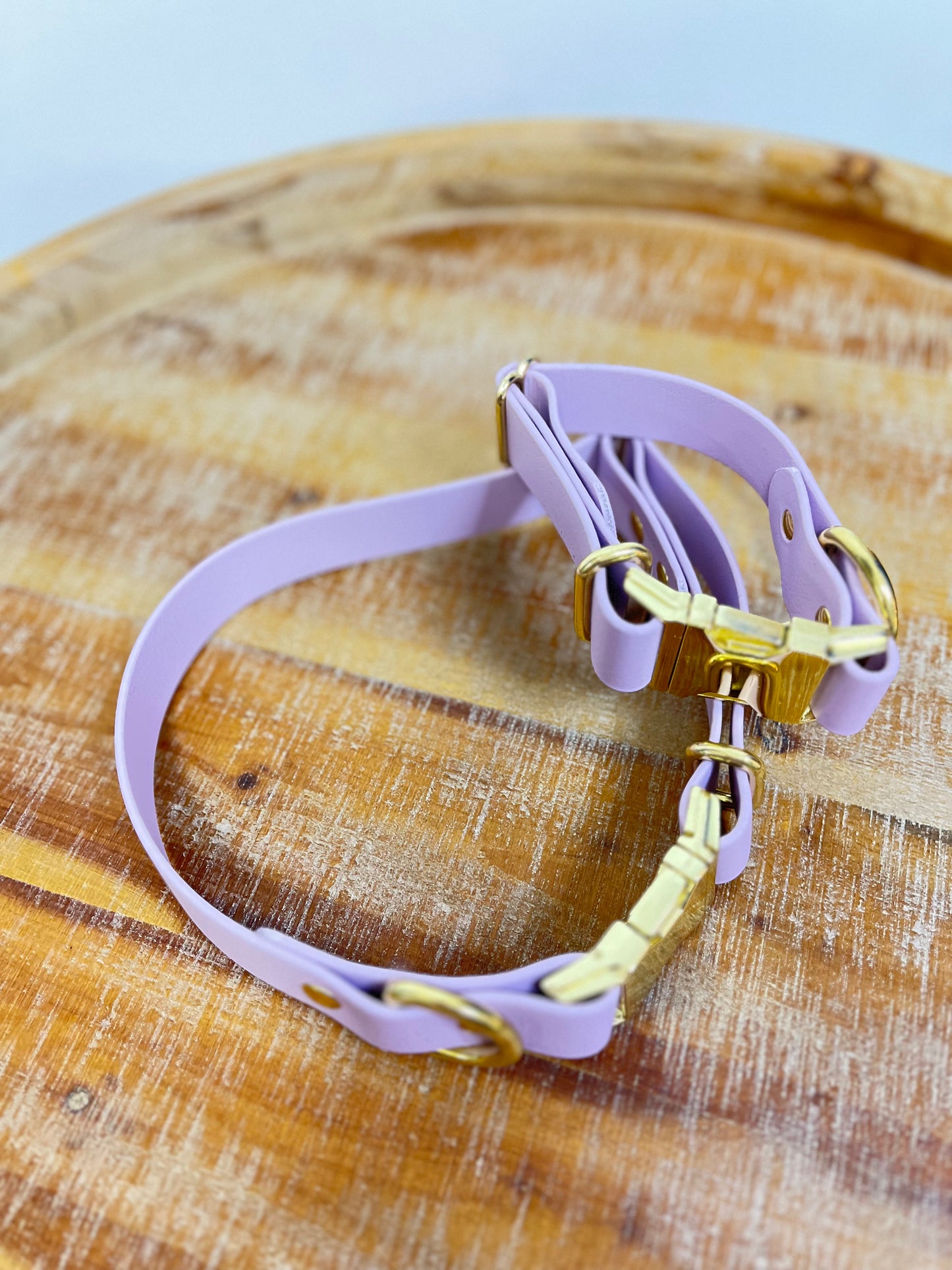 Lavender Collar with Brass Hardware