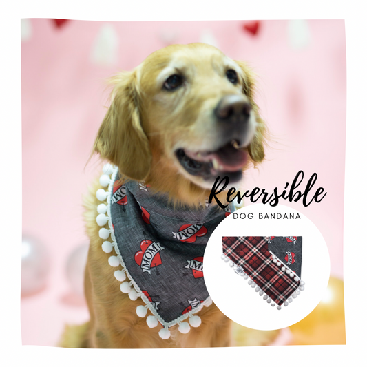 Valentine's Day - Skyler