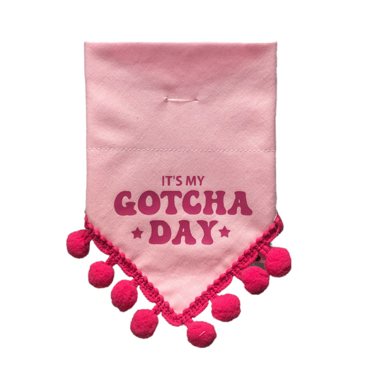 It’s my gotcha day - pink Poms