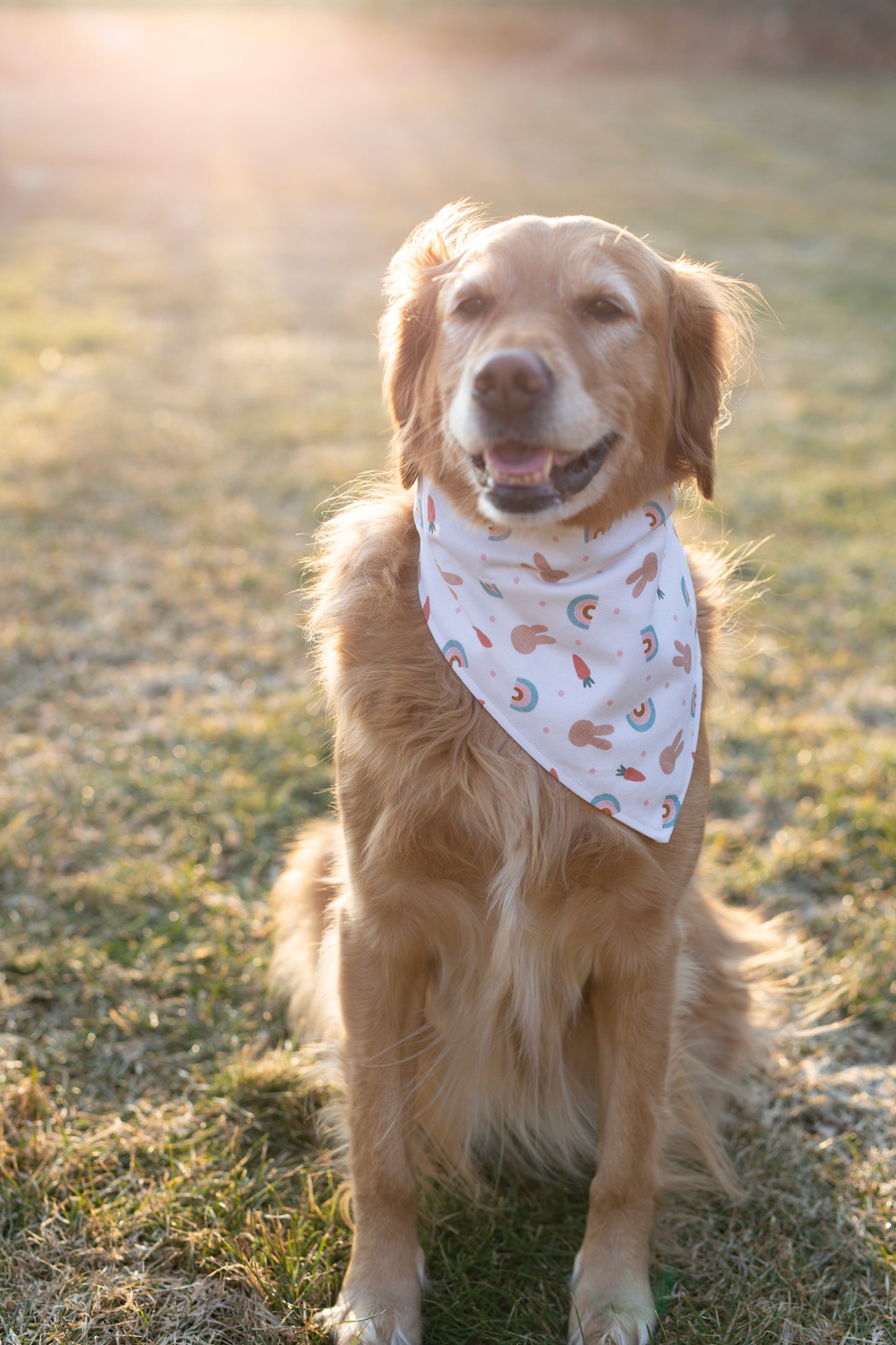 Easter Dog Bandana - Maple