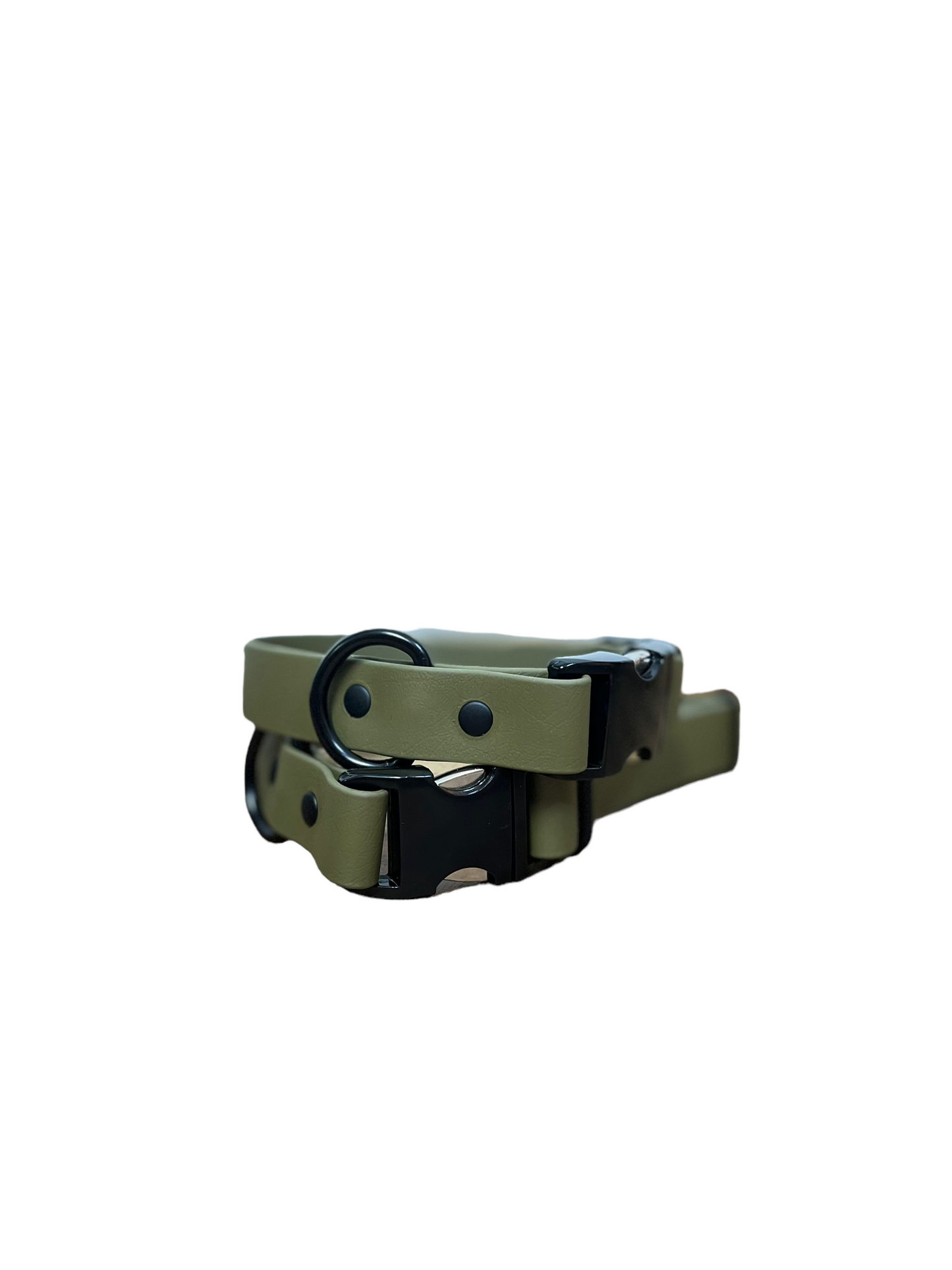 Olive collar with black hardware