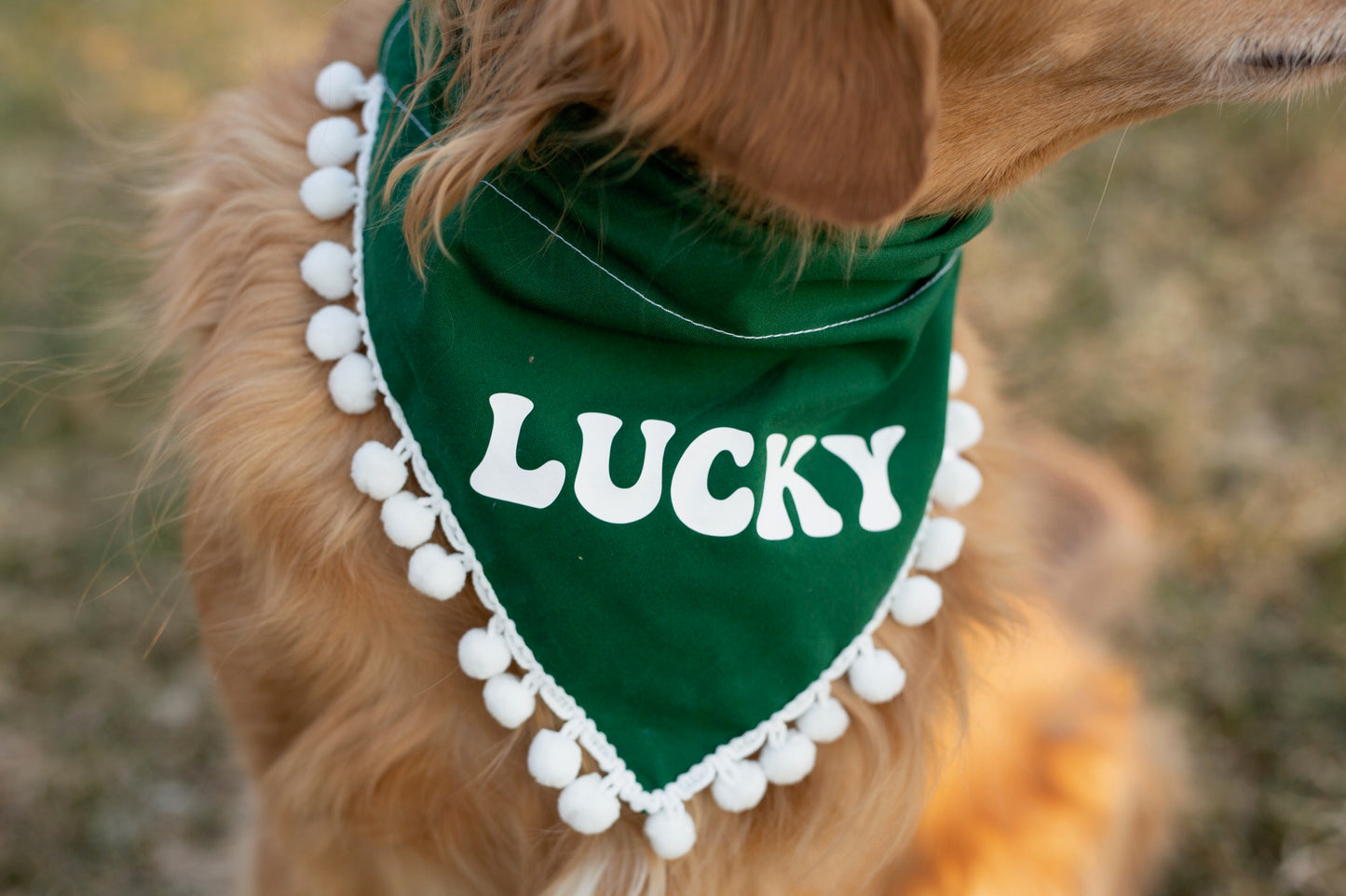 Lucky Dog bandana