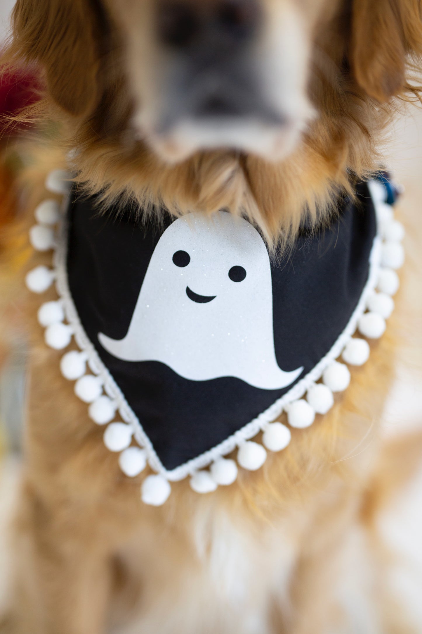 Ghost Dog Bandana