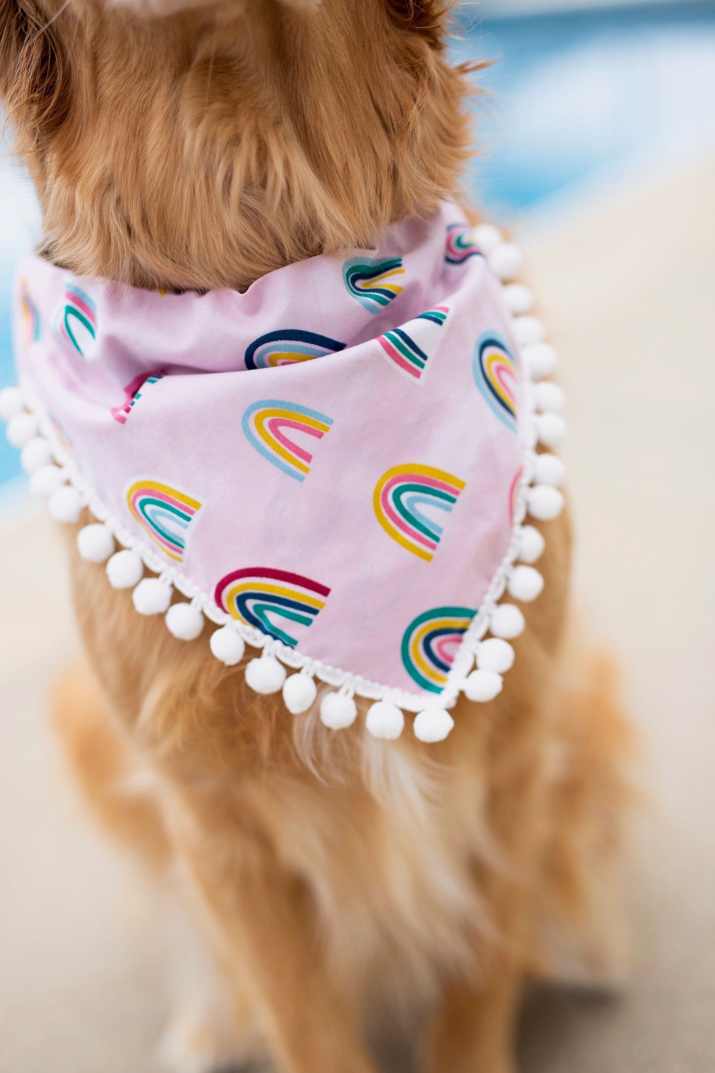 Rainbow dog bandana, rainbow baby, pregnancy announcement, pride dog bandana, over the collar dog bandana, LGBTQ, Pom Pom dog bandana, pink,