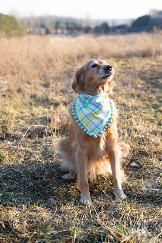 Easter Dog Bandana - Reese