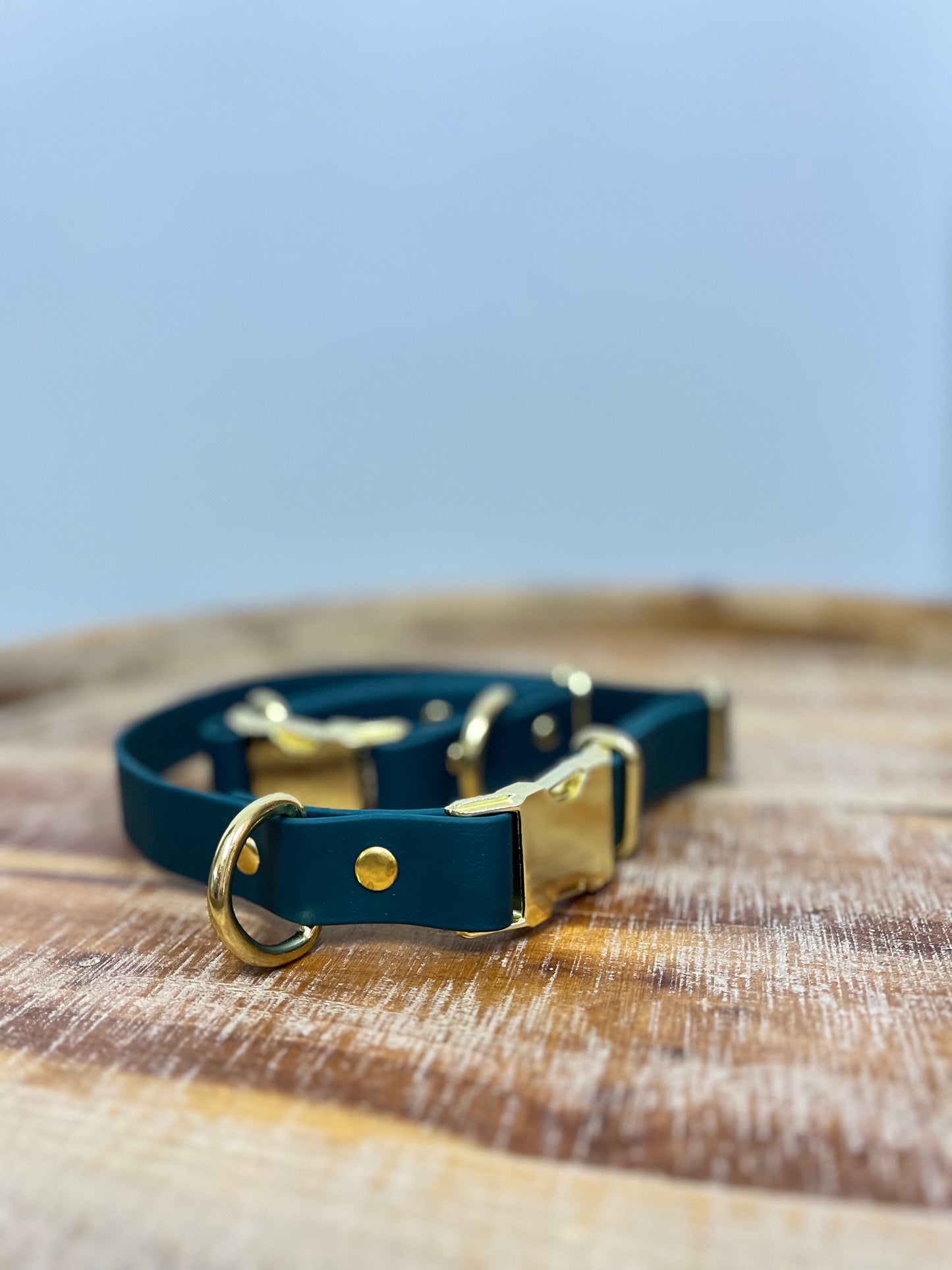 Deep Teal Collar with Brass Hardware