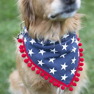 Charlie (Independence Day Dog Bandana)