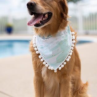 Tess ( Summer Dog Bandana)