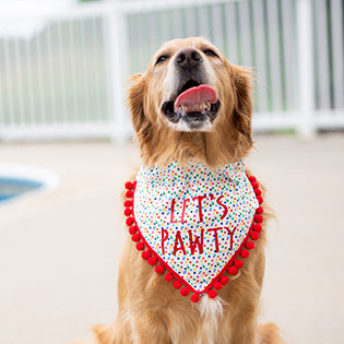 Campbell (Birthday Dog Bandana)