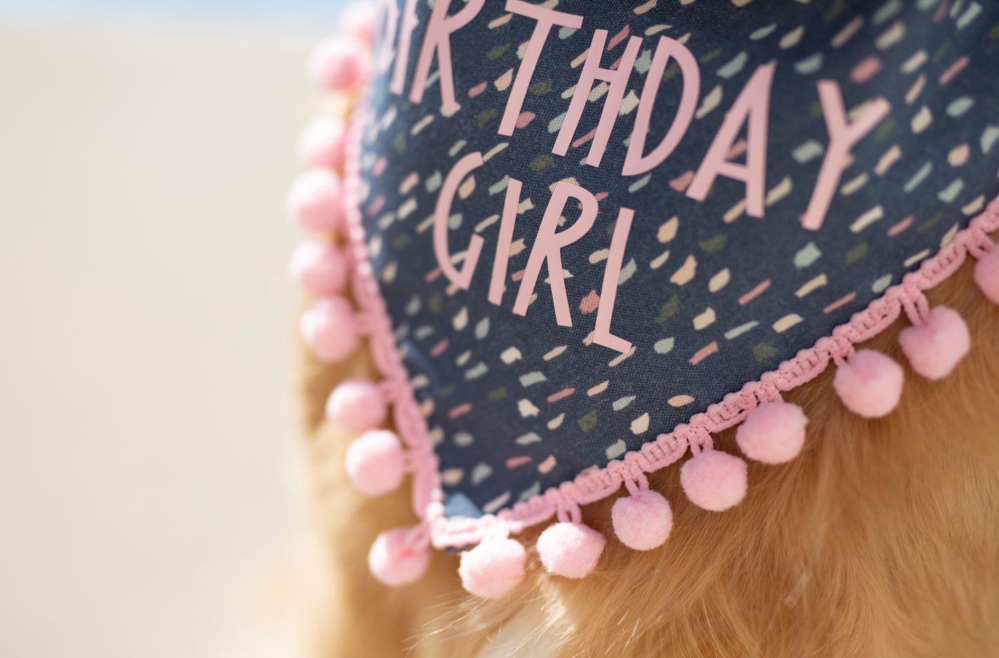 Birthday girl - Zoe (Navy Blue)