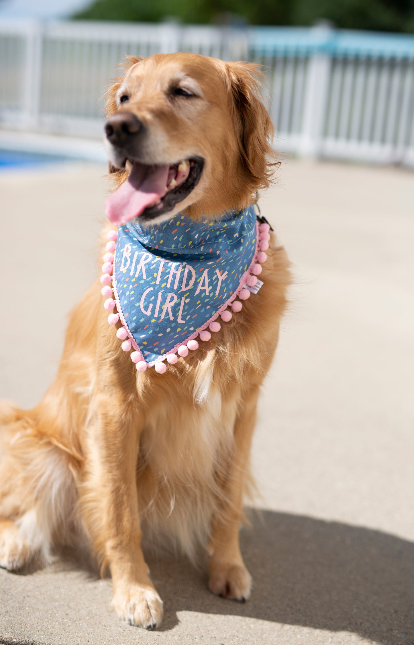 Birthday girl - Maggie (Royal Blue)