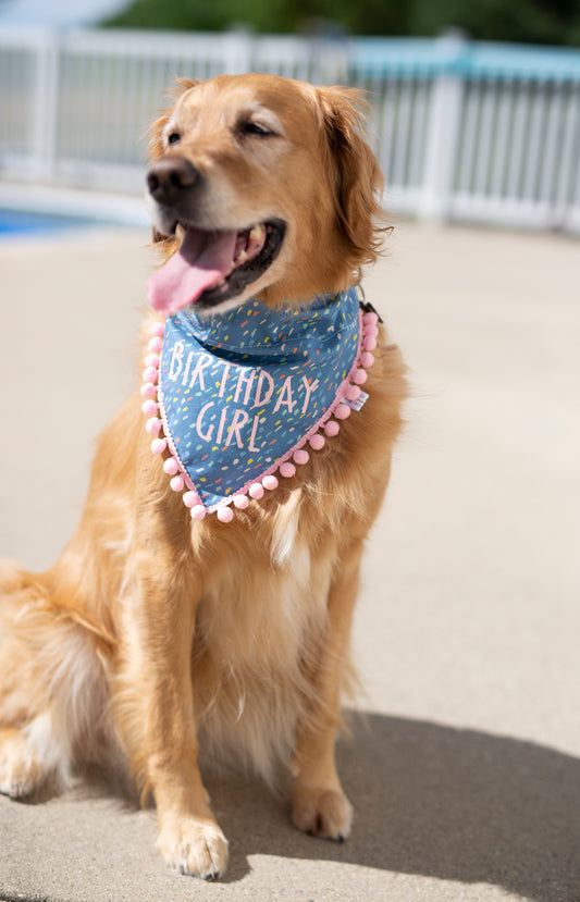 Birthday girl - Maggie (Royal Blue)