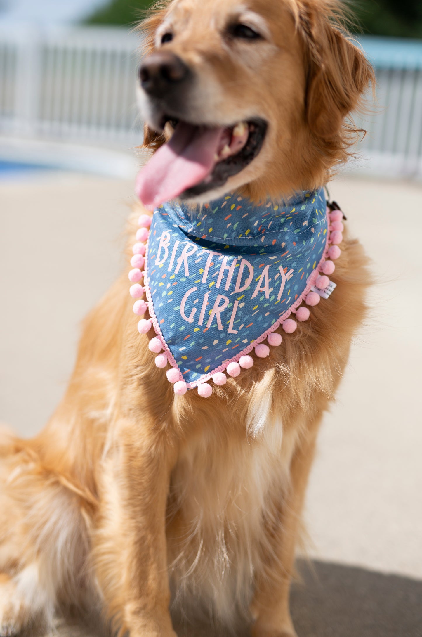 Birthday girl - Maggie (Royal Blue)