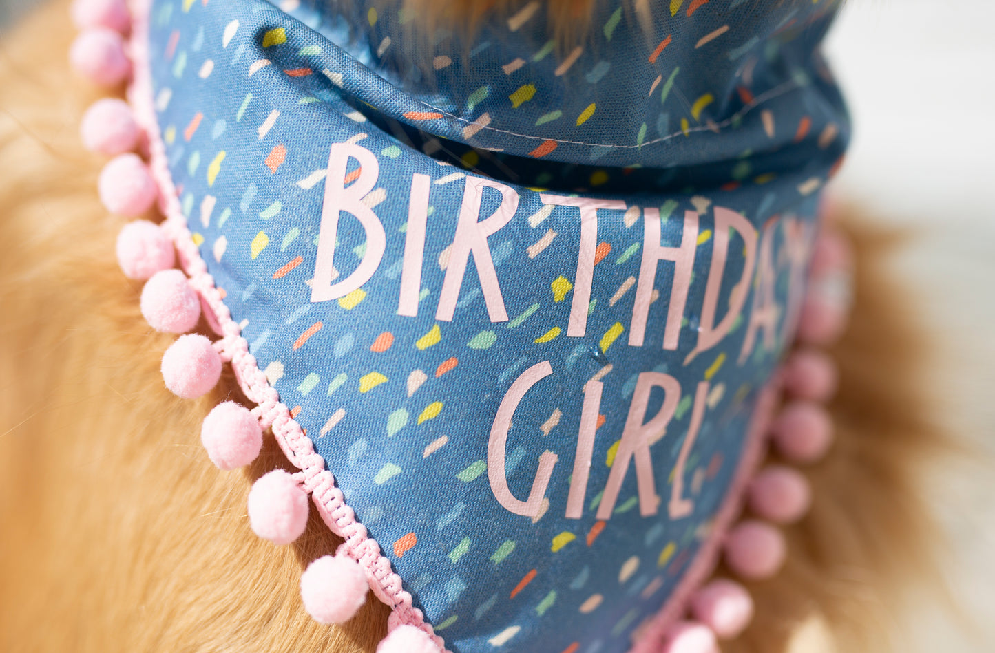 Birthday girl - Maggie (Royal Blue)
