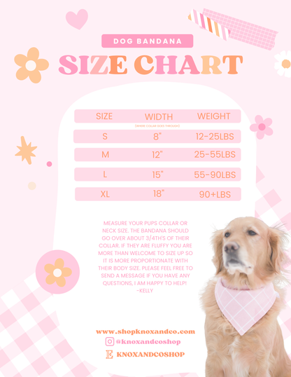 Embroidered Dog bandana with initial - Blue Stripe