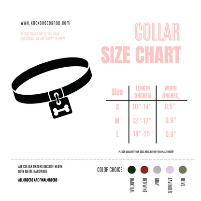 Olive collar with black hardware