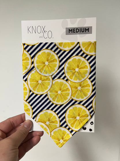 Lemon Summer Dog Bandana