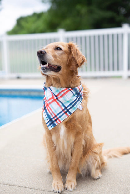Tye - Reversible dog bandana (Independence Day Dog Bandana)
