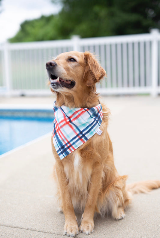 Tye - Reversible dog bandana (Independence Day Dog Bandana)