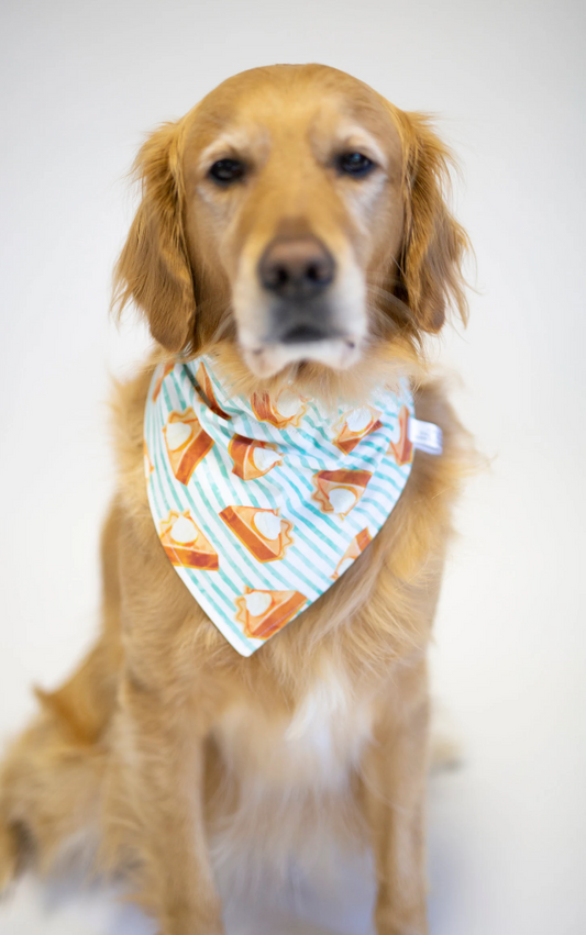 Reversible Thanksgiving Bandana