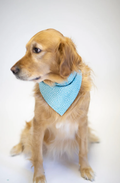 Reversible Thanksgiving Bandana