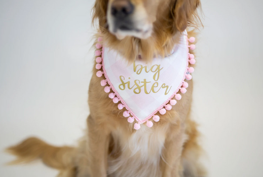 Big Sister Dog Bandana