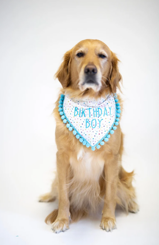 Birthday Boy