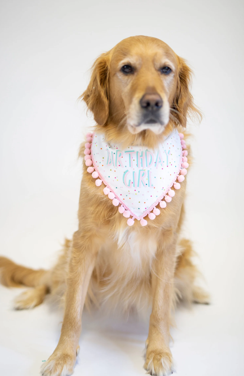 Sadie - Birthday Girl
