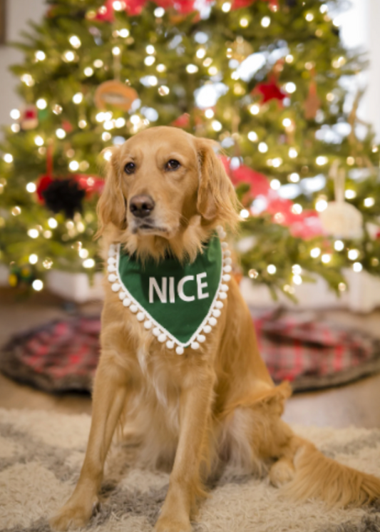 Nice Christmas Dog Bandana