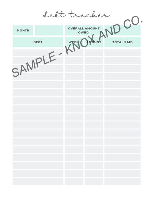 Debt Tracker - Mint