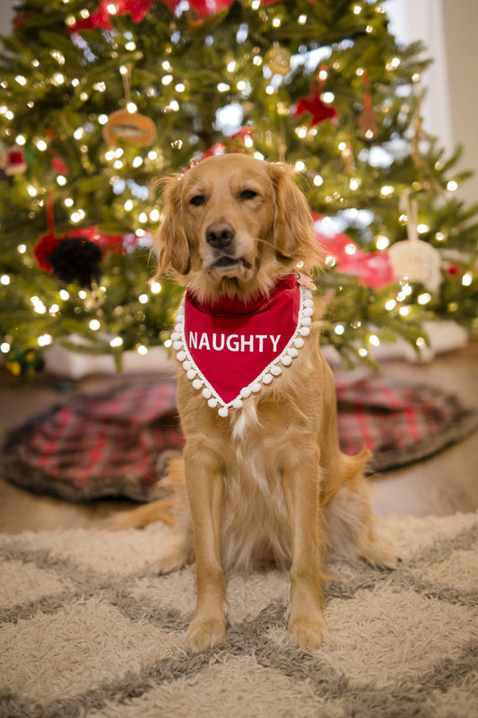 Naughty Christmas Dog Bandana