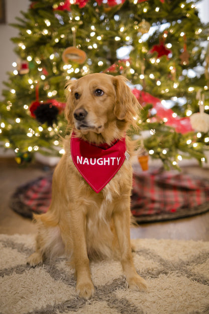 Naughty Christmas Dog Bandana