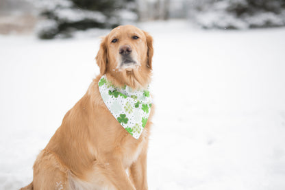 St. Patrick's Dog, St. Patrick's Day, St. Patrick's day dog bandana, St. Patty's day, St. Patty's day dog bandana, Irish dog bandana