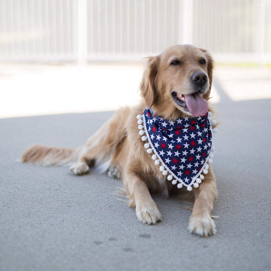 Milo (Independence Day Dog Bandana)