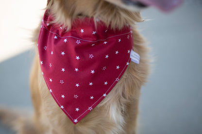 Max (Independence Day Dog Bandana)