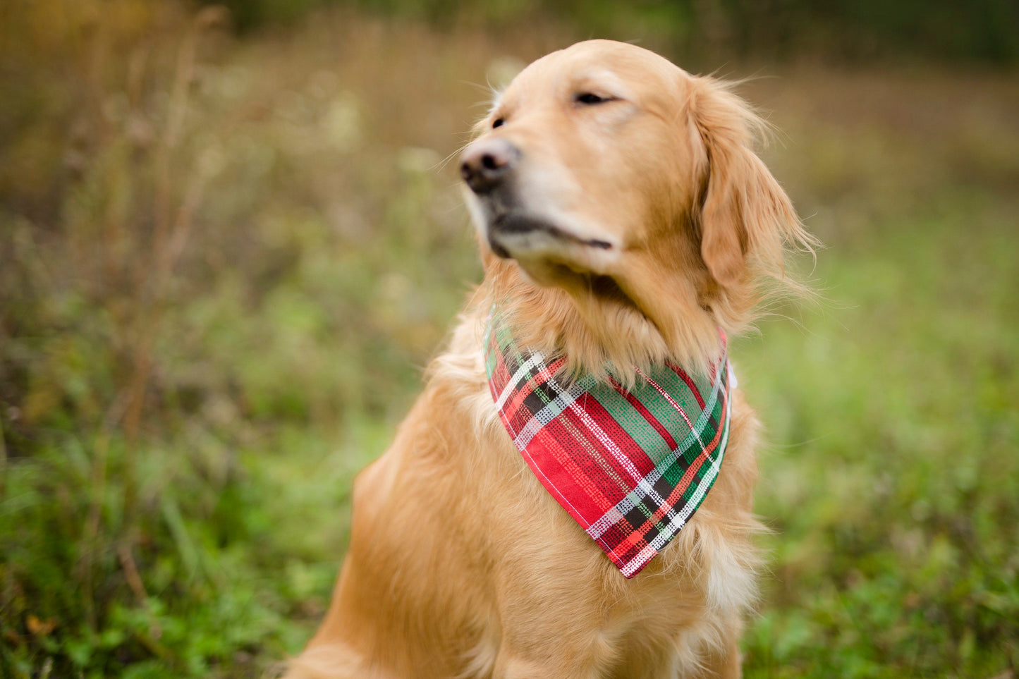 Christmas dog bandana, Christmas plaid bandana, plaid Christmas bandana, holiday dog bandana, winter dog bandana