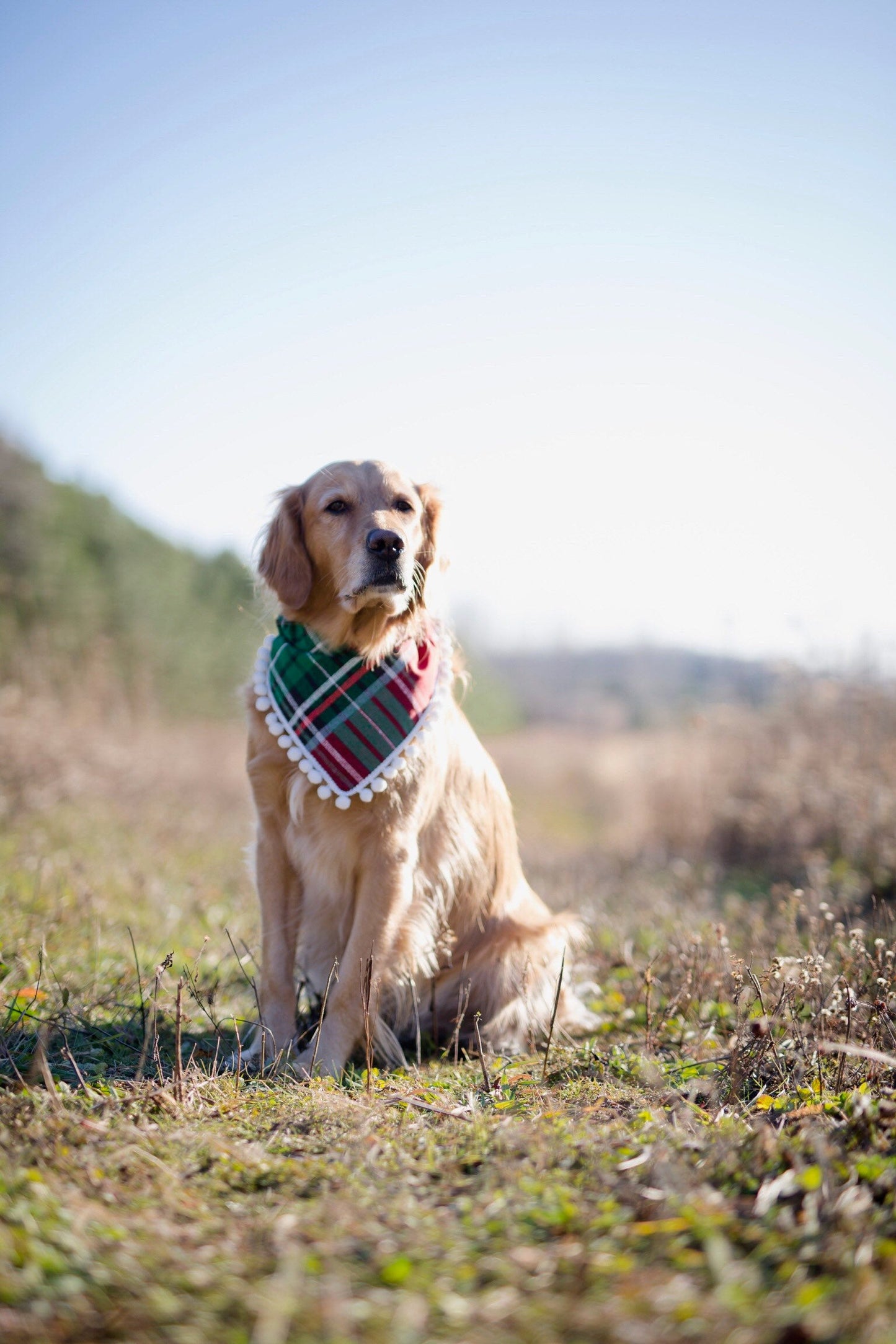 Christmas dog bandana, Christmas plaid bandana, plaid Christmas bandana, holiday dog bandana, winter dog bandana