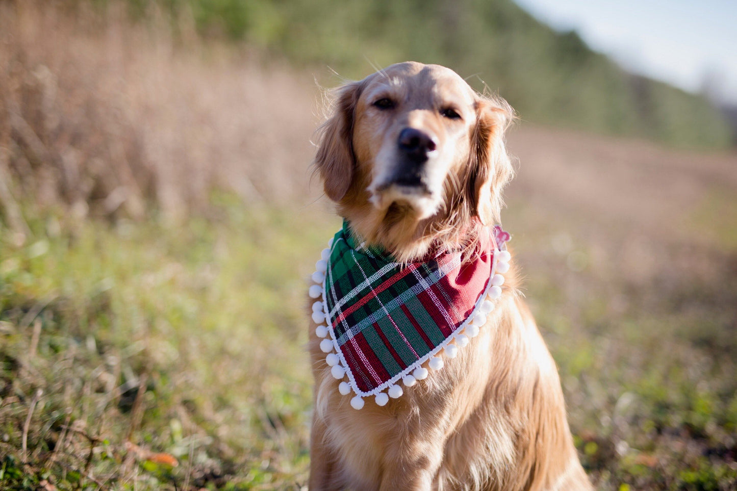 Christmas dog bandana, Christmas plaid bandana, plaid Christmas bandana, holiday dog bandana, winter dog bandana