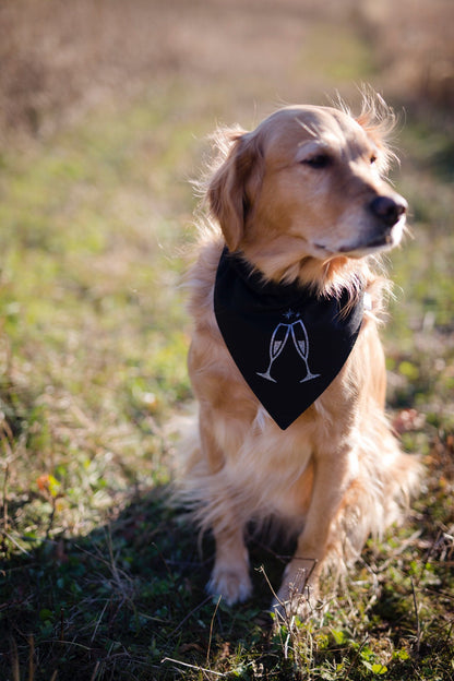 NYE dog bandana, New Years dog bandana, dog bandana, winter dog bandana, New Years, New Years Eve