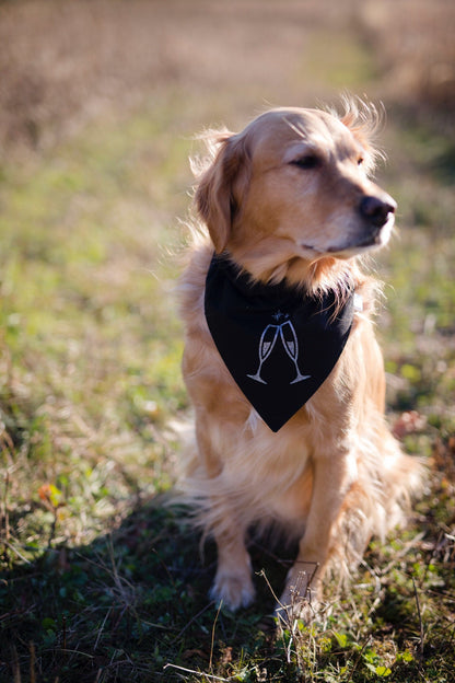 NYE dog bandana, New Years dog bandana, dog bandana, winter dog bandana, New Years, New Years Eve