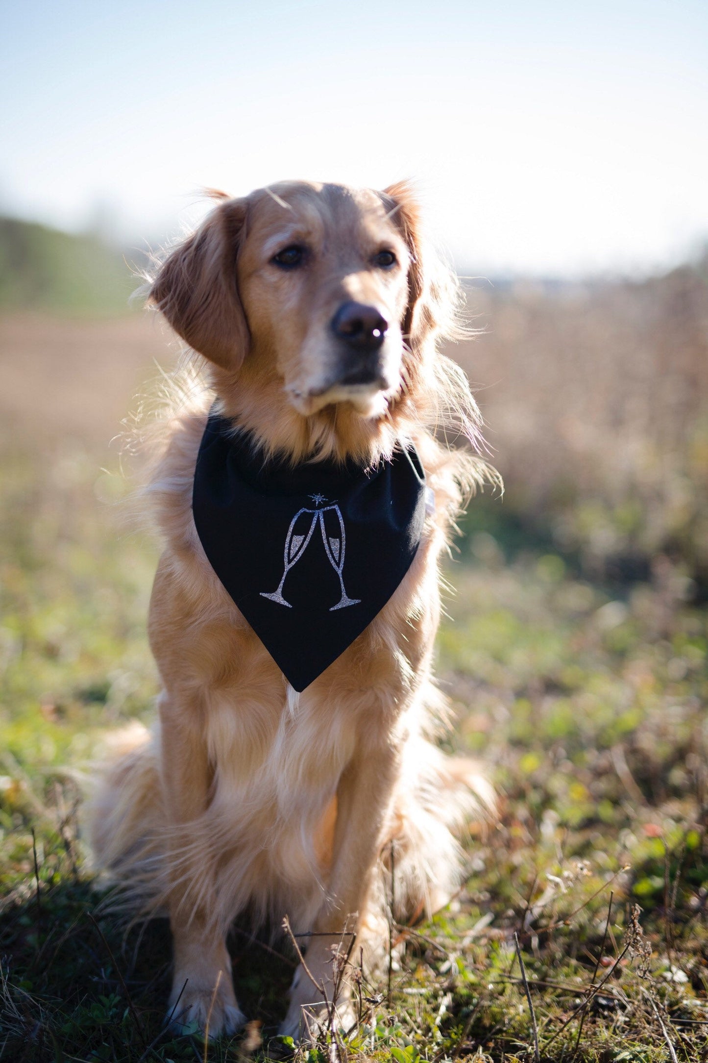 NYE dog bandana, New Years dog bandana, dog bandana, winter dog bandana, New Years, New Years Eve