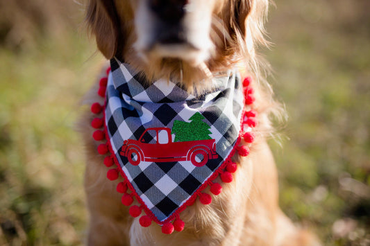 Red truck Christmas, Christmas, Christmas decor, Christmas dog, Christmas dog bandana, dog scarf, over the collar Christmas bandana