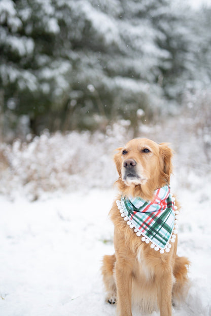 Winter Plaid Dog Bandana