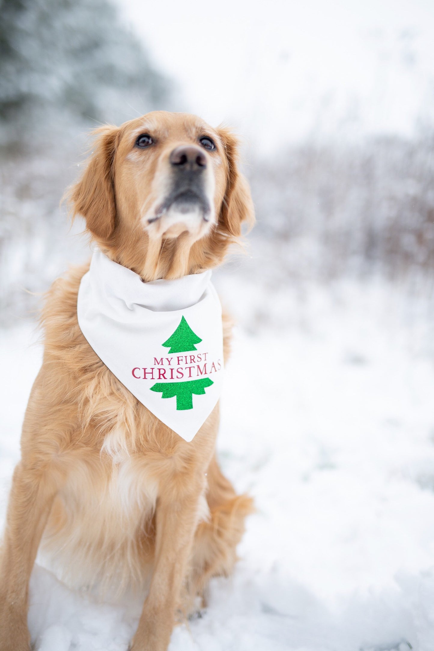 My first Christmas, first Christmas, dogs first Christmas, Christmas, Christmas dog bandana, over the collar dog bandana
