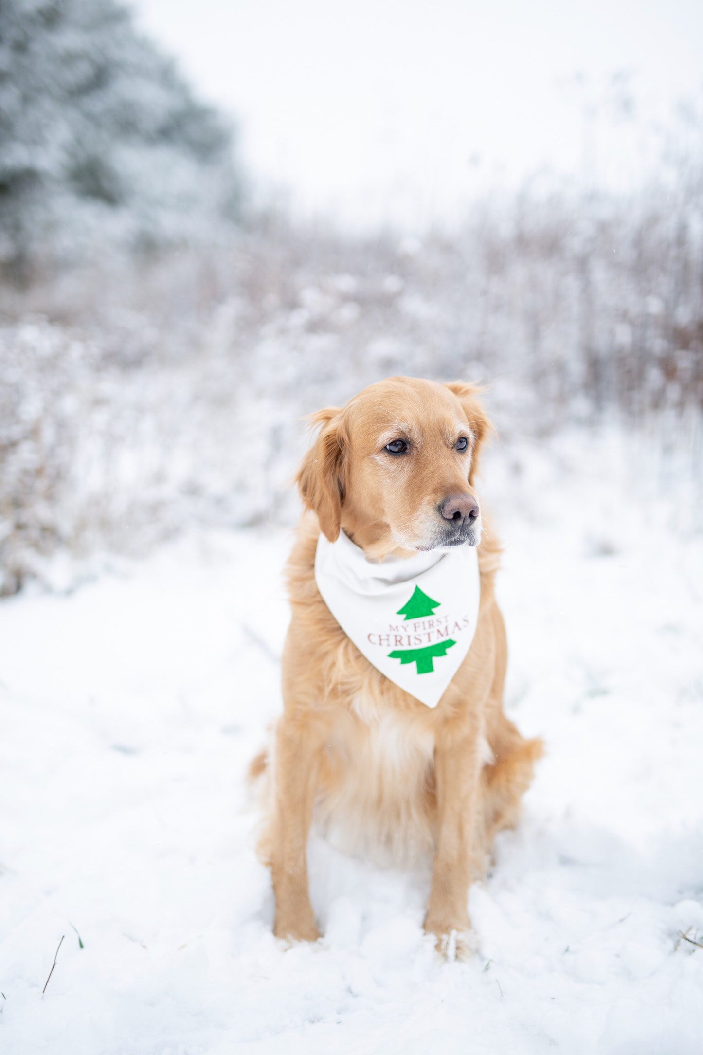 My first Christmas, first Christmas, dogs first Christmas, Christmas, Christmas dog bandana, over the collar dog bandana