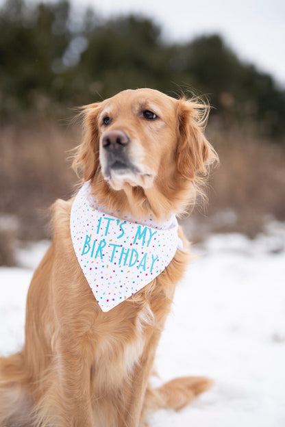 Tucker (Birthday)