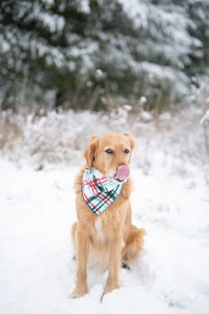 Winter Plaid Dog Bandana